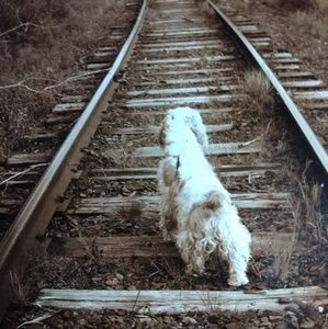 Meet your Posher, Alan